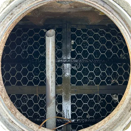 清掃後